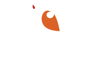 Te Wānanga Ihorangi